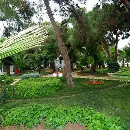 Maya Golf