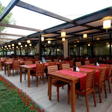Maya Golf Side